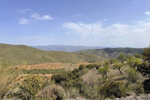 Finca i Tices, Almeria, Tices - € 8.000.000 | Ref: GVCFNSC - foto 23